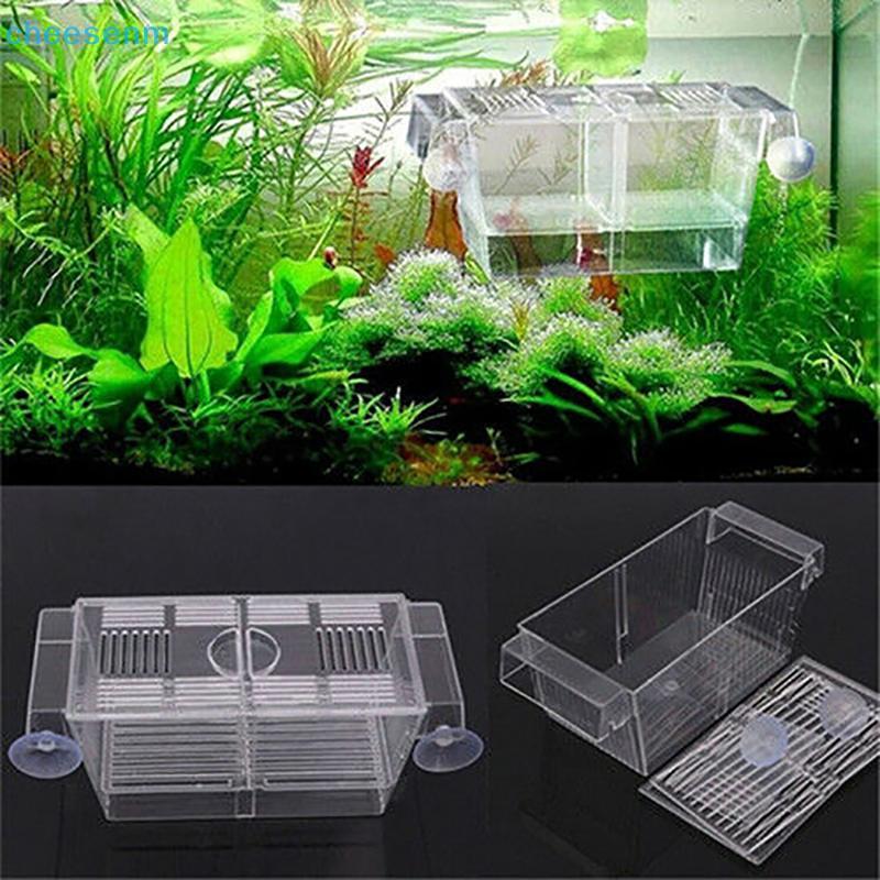 Cheenm Aquarium Fish Tank Guppy Double Breeding Breeder Rearing Trap Box Hatchery VN