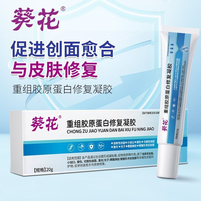 ดอกทานตะวันทางการแพทย์การจัดระเบียบคอลลาเจนเจลซ่อมแซมแผลหลังผ่าตัด Healing Trauma Burnsหลังผ่าตัด Tr