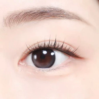 OLENS RAIN Black คอนแทคเลนส์ 2P 1 เดือน