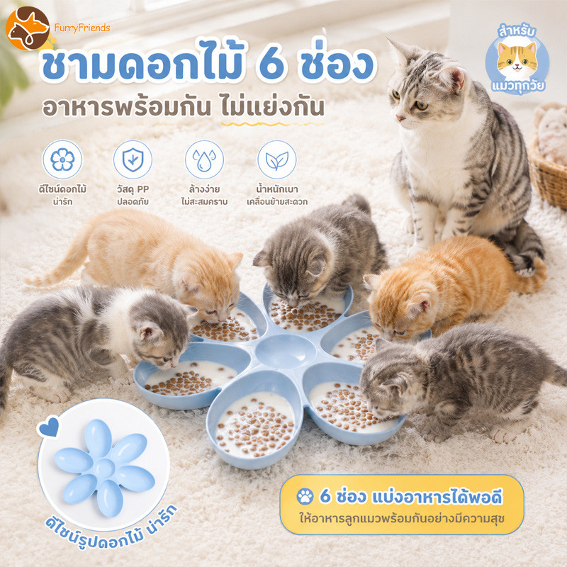 ชามให้อาหารแมว ชามอาหารแมว ขวดนมแมว ลูกแมวหลายตัวกินพร้อมกัน วัสดุความปลอดภัย ทำความสะอาดง่าย