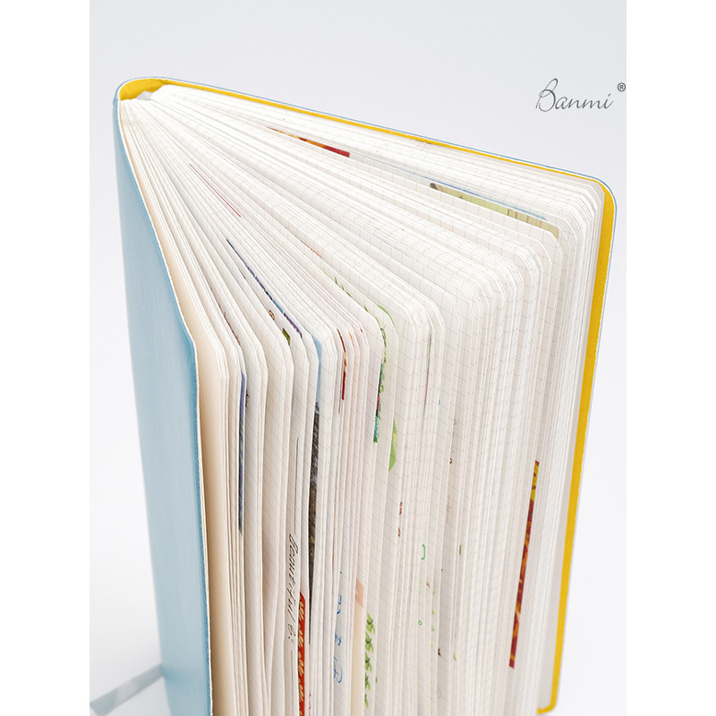 planner 2026 planner BANMI BANMI Influencer Handbook Grid Book Diary Book Grid Book ins Style Simple