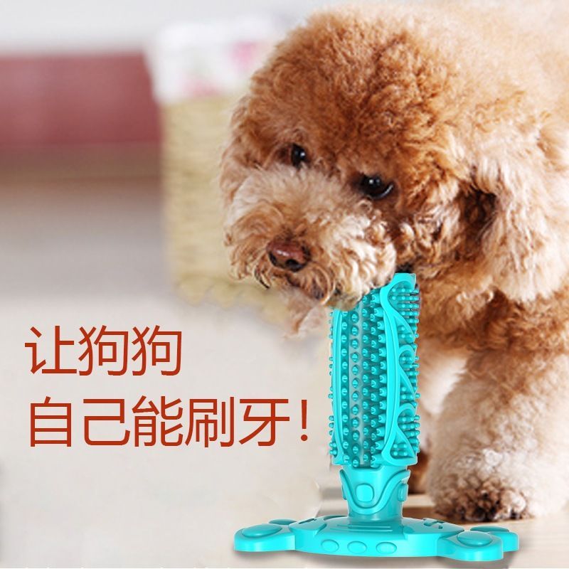 New Product#[2826People Collection]Pet Dog Rubber Toothbrush Durable Chew Toy Magic Tool for Removin