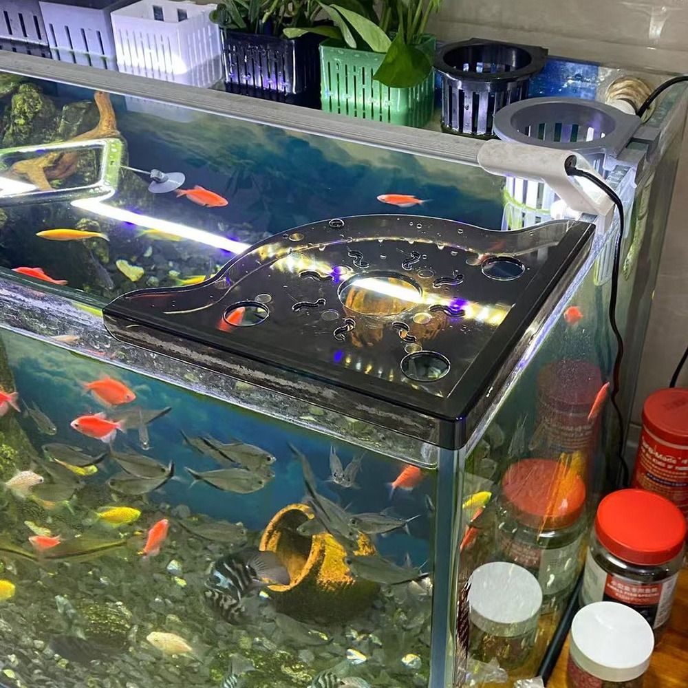 กุตฮอป ชั้นวางของเข้ามุมตู้ปลา รูปที่ 6