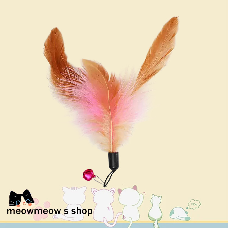 รูปภาพ 7