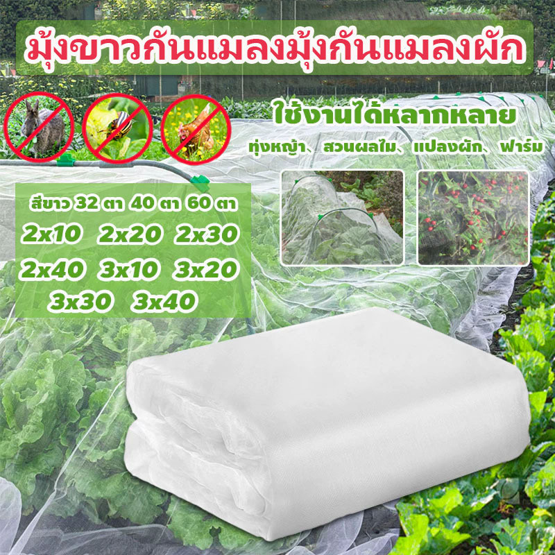 มุ้งขาวกันแมลงมุ้งกันแมลงผัก 5/10m มุ้งกันแมลงมุ้งขาวกันแมลงตาข่ายกันแมลงมุ้งโรงเรือนตาข่ายไนล่อนมุ้งปลูกผักมุ้งไนล่อน
