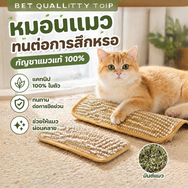 หมอนแมว กัญชาแมวแท้ 100% Catnip หมอนสมุนไพรแมวแท้ ที่ลับเล็บแมว ดีไซน์น่ารัก หมอนสัตว์เลี้ยง ผ่อนคลายอารมณ์แมว