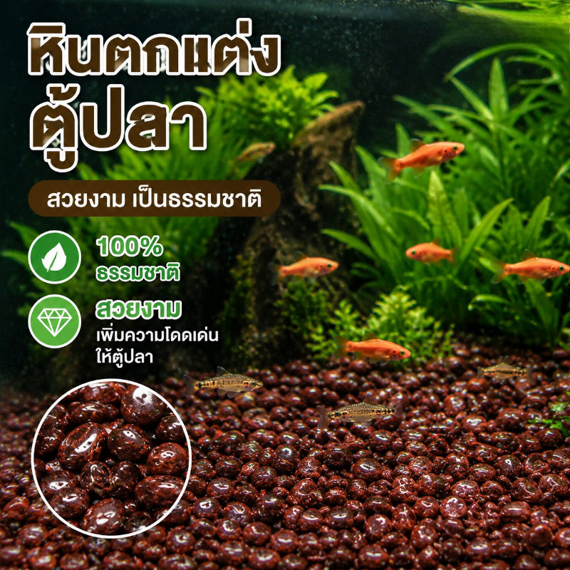 COD หินตกแต่งตู้ปลา 100% ธรรมชาติ ตกแต่งตู้ปลา สะอาดไม่มีทรายและไม่มีความเหม็น ไม่ทำร้ายตู้ปลาและปลา สวยงาม