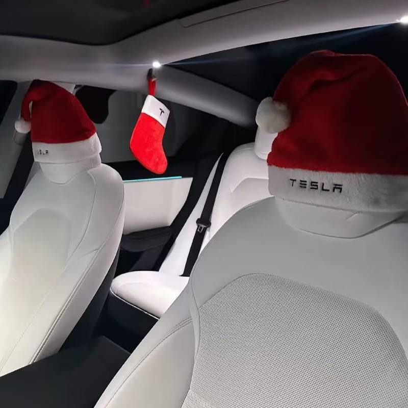 Tesla Christmas Hat and Shoes New 3/Y/YL & MODEL3/Y/S/X Christmas Hat Car Decoration hSM3
