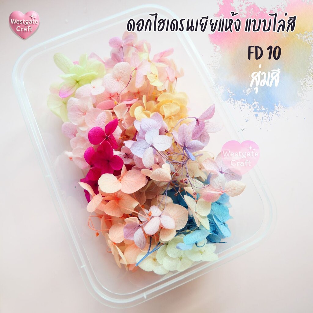 ดอกไฮเดรนเยียแห้ง ไล่สี FD 10 แบบกล่อง คละขนาด คละสี สุ่ม