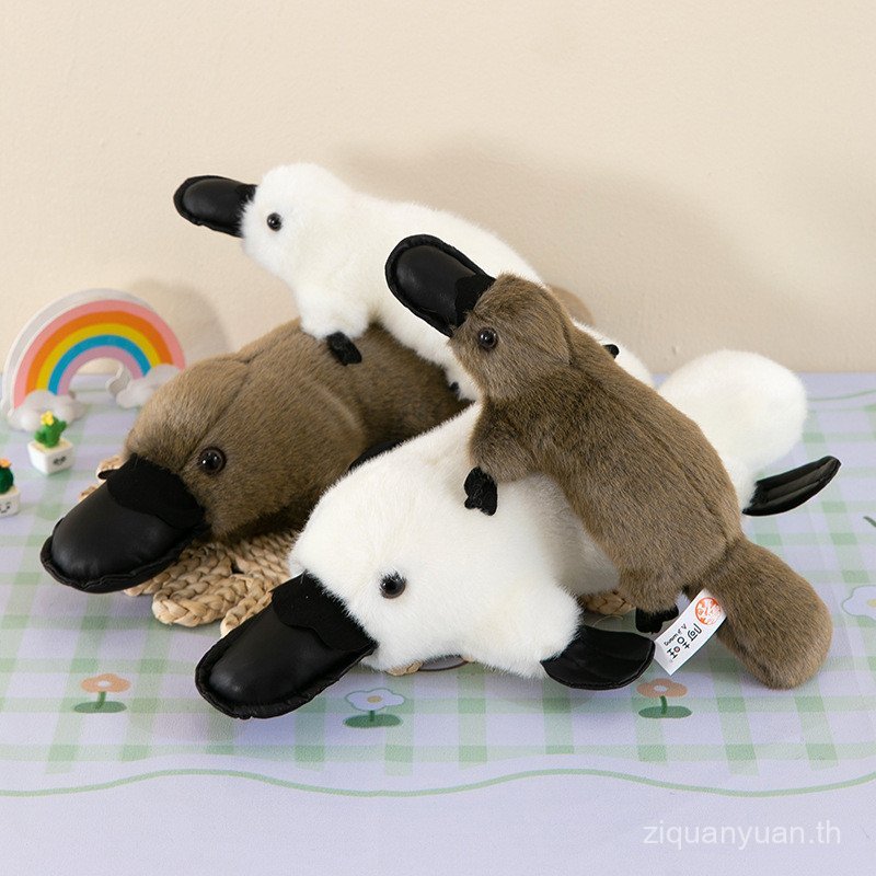 ตุ๊กตาตุ่นปากเป็ด DCW [คลังสินค้าพร้อม] ตุ๊กตาตุ่นปากเป็ดจําลองน่ารักมูลค่าสูงของเล่นตุ๊กตา Ragdoll หมอนนอนตกแต่งของขวัญวันเกิดสาว ZPSL