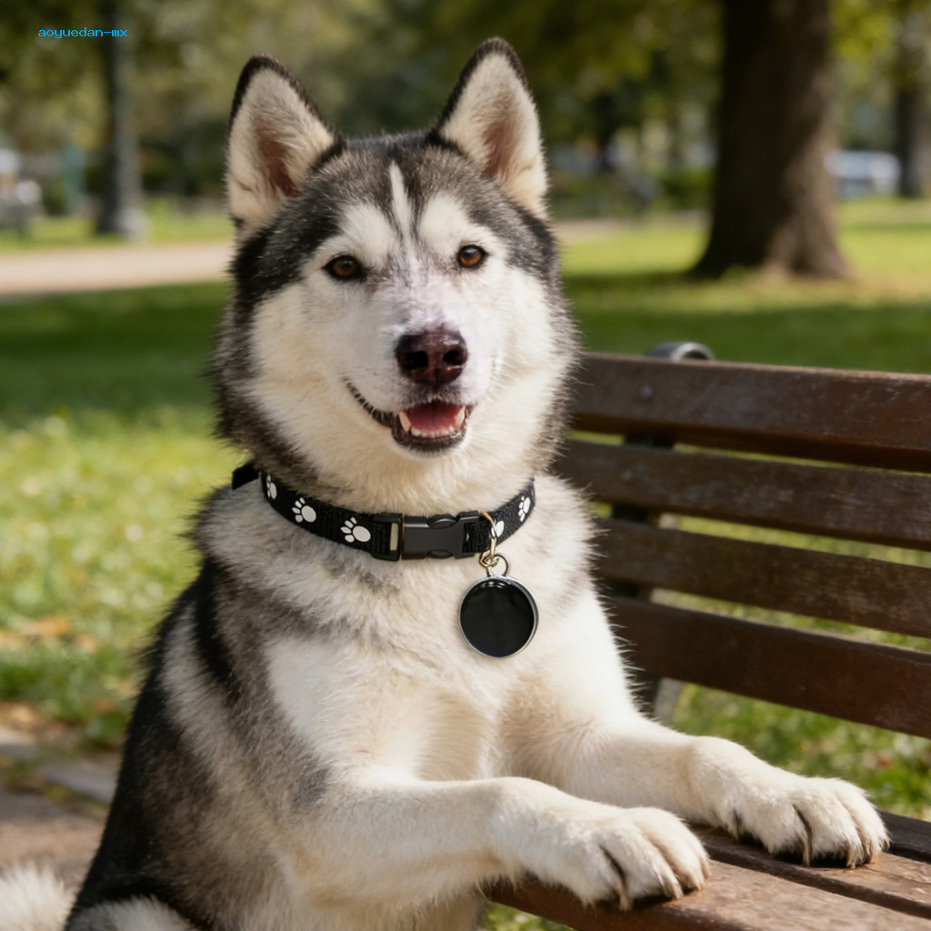 Aoyuedan Cat COLLAR Tracker Gps ปลอกคอสุนัขกันน้ํา Gps Pet Tracker สําหรับสุนัขแมว – ตําแหน่งจริงน้ํ