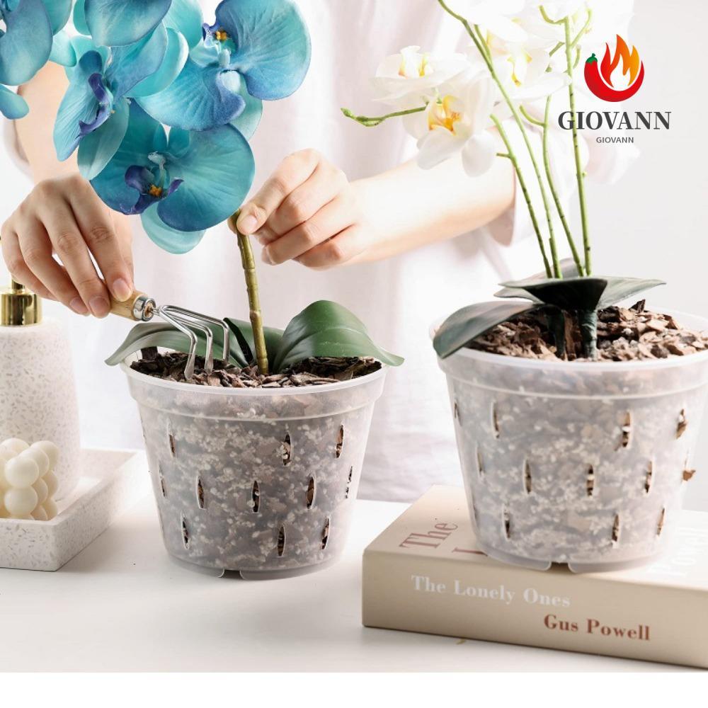GIOVANNI Orchid Pot Breathable Excellent ระบายน้ําพลาสติกโปร่งใส Stomata สําหรับ Phalaenopsis Orchid