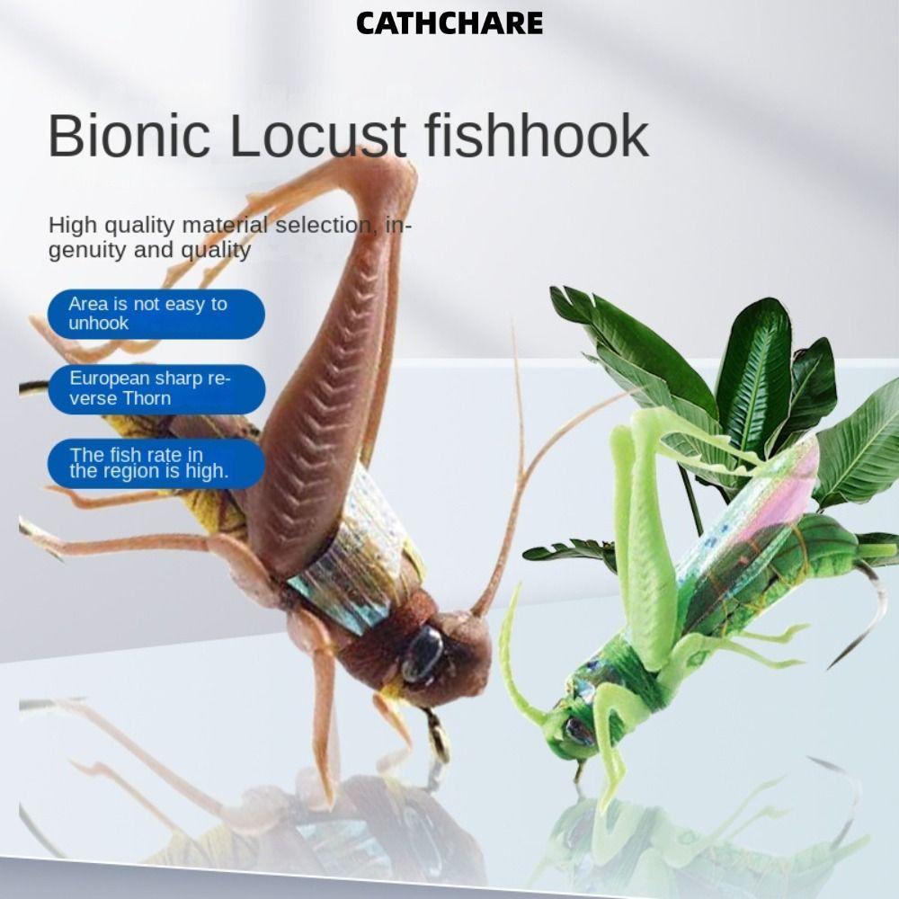 CATHCHARE294 เหยื่อตกปลาตั๊กแตน, Bass Lure 2# 6# เหยื่อตกปลาแมลง, จําลองถนน Fishing Tackle ปลาหมึก Hard เหยื่อปลอมตกปลา Fly