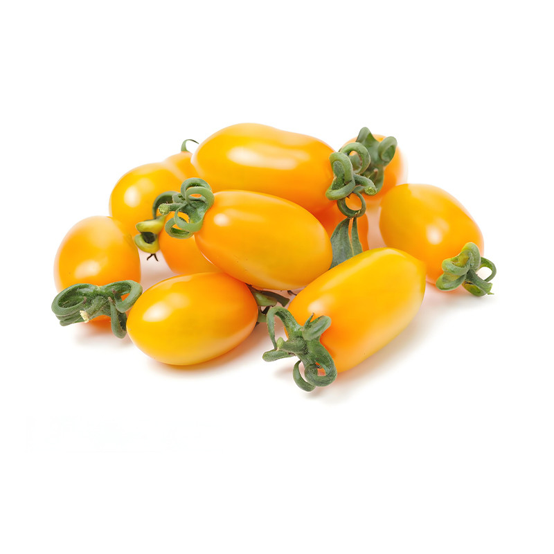 มะเขือเทศ เชอรี่🎯สีเหลือง🎯200เมล็ด เมล็ดพันธุ์ มะเขือเทศ เชอรี่ 🎈ปลูกง่าย🌱ผลดก🌱สีสวย🎈ทานอร่อย - รูปที่ 3