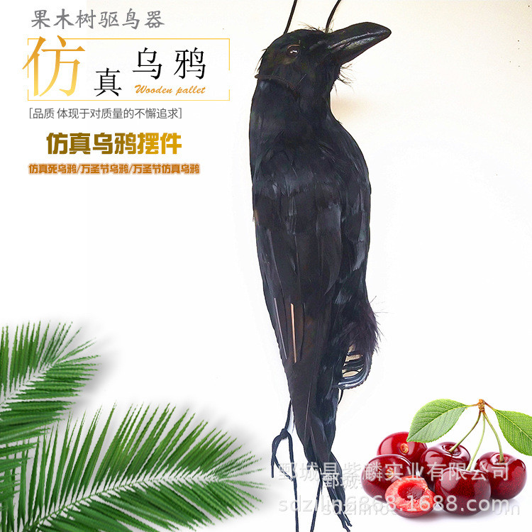 Dead Crow จําลอง Crow จี้แขวน Crow เหยื่อ Feather Crow ฮาโลวีนตกแต่ง