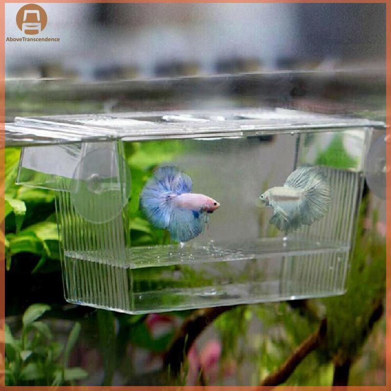 ABOVE Aquarium Fish Tank Guppy Double Breeding Breeder Rearing Trap Box Hatchery TH