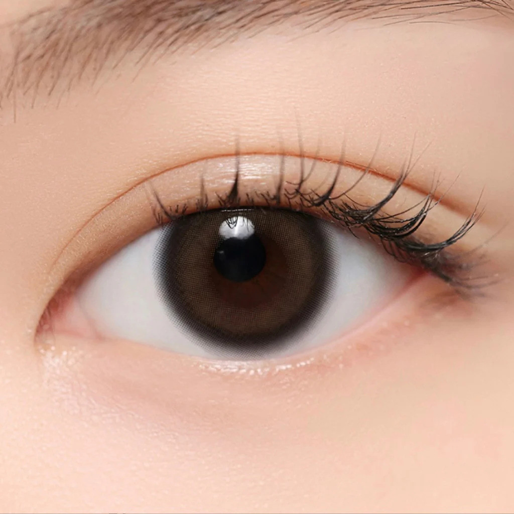 Hapa Quiet Kristin Glow Brown 10p 1DAY คอนแทคเลนส์