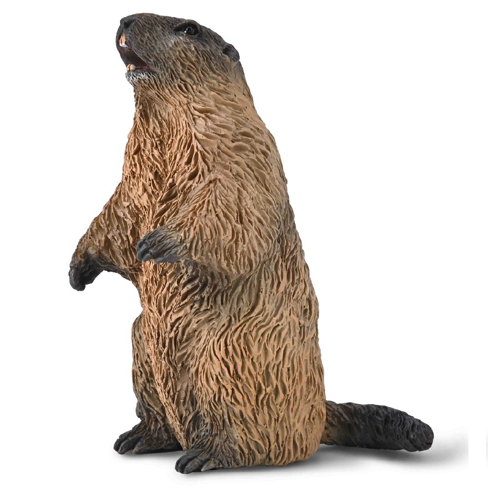 CollectA Marmot Model ของเล่นคลาสสิก 80044 ขนาดเล็ก