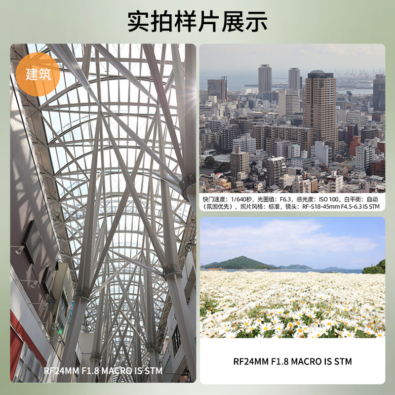 Canon R8 Full Frame Micro Single Digital Camera Home Travel 4K Video vlog Digital Photography Camera