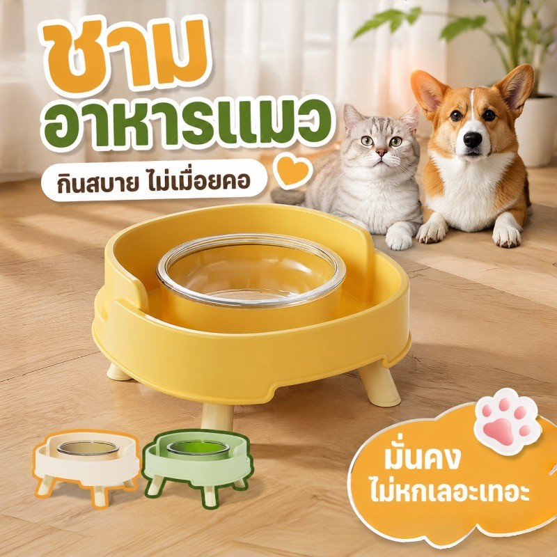 ชามอาหารแมว ชามอาหารสัตว์เลี้ยง ชามแก้ว ถอดออกได้ ป้องกันการรั่วไหล