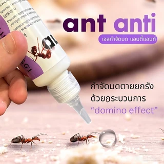 Antiant เจลกำจัดมด แอนติแอนท์ เหยื่อกำจัดมด เจลล่อมด หยดเดียวตายยกรัง 50g/30g เพิ่มปริมานขึ้น