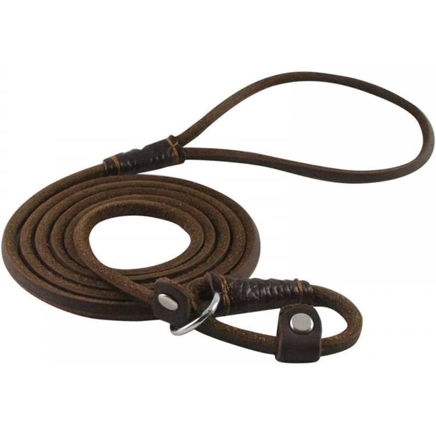 DONGKER สุนัขลื่นตะกั่ว,5ft 2-in-1 หนังสัตว์เลี้ยงการฝึกอบรมสายจูงปรับคอขนาดสําหรับสุนัขขนาดกลางขนาด