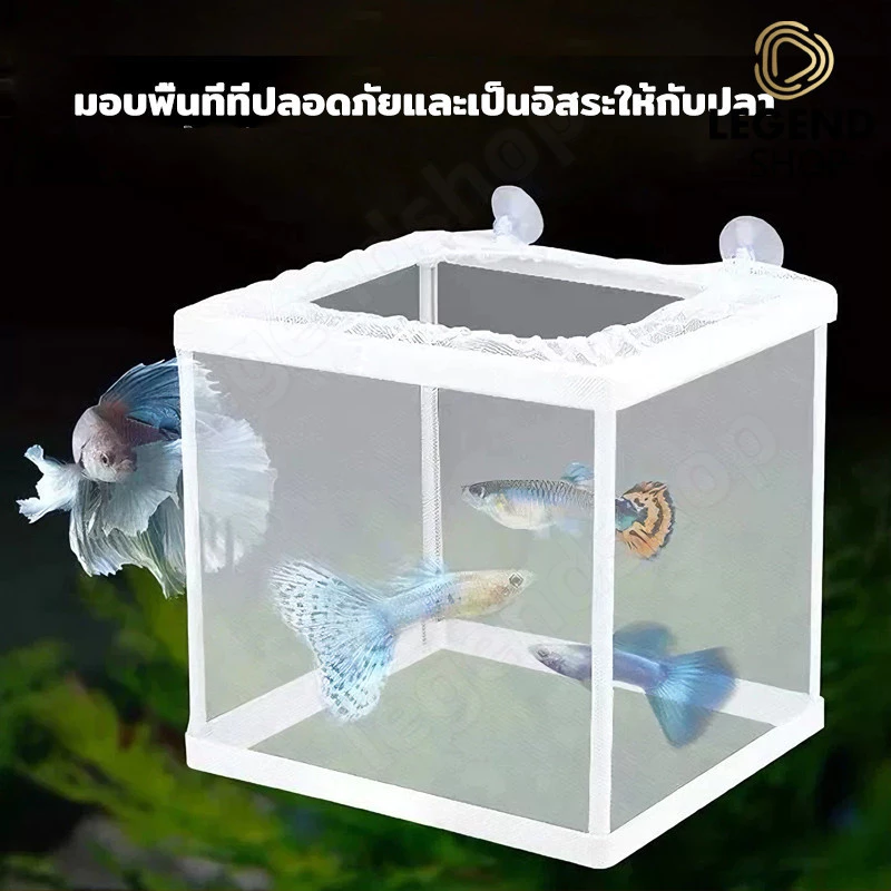 กล่องฟักไข่ปลา ตาข่ายแยกปลา กล่องพักปลา Incubator thumbnail 3