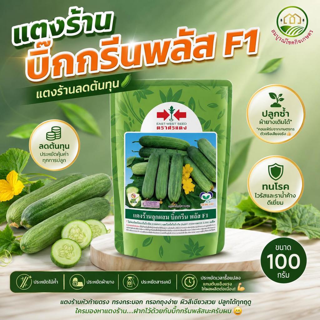 แตงร้าน บิ๊กกรีนพลัส F1 เมล็ดพันธุ์ 100 กรัม ตราศรแดง ดอกดก ติดไว ทรงกระบอก ลูกตรง ไม่งอง่าย
