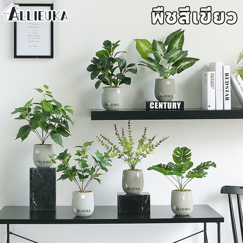 Allieuka บอนไซประดิษฐ์ พืชสีเขียว พร้อมกระถาง ใช้ตกแต่งบ้าน ออฟฟิศ หรือสวน ไม่ต้องรดน้ำ สวยตลอดปี