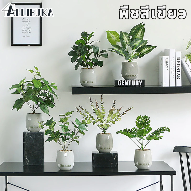 Allieuka บอนไซประดิษฐ์ พืชสีเขียว พร้อมกระถาง ใช้ตกแต่งบ้าน ออฟฟิศ หรือสวน ไม่ต้องรดน้ำ สวยตลอดปี