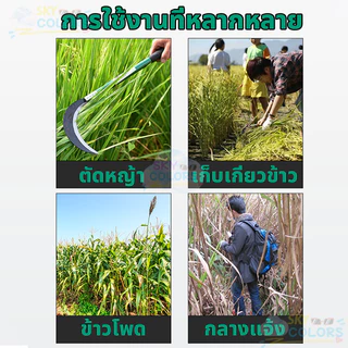 เคียวเหล็กเมกานิสแท้หลายขนาด ด้ามเหล็กด้ามยาว คมกริบน้ำหนักเบามือ ใช้สำหรับตัดหญ้า ตัดแต่งกิ่งไม้ สวน ขอถางหญ้า