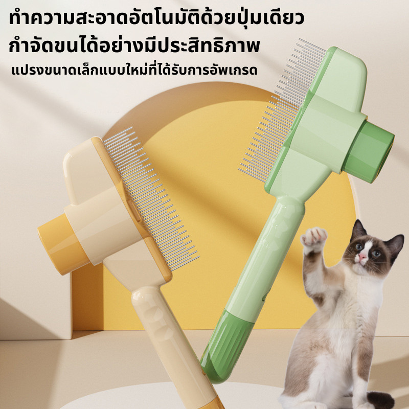 รูปภาพ 3