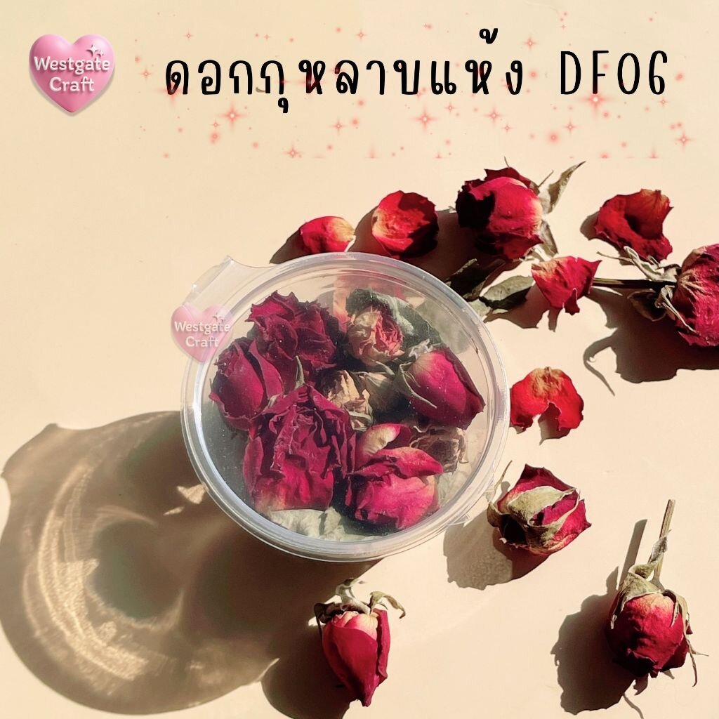 ดอกกุหลาบแห้ง แบบกระปุก DF 06