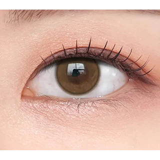 O-LENSE SHINE TOUCH MILKY Brown คอนแทคเลนส์ 2P 1 เดือน