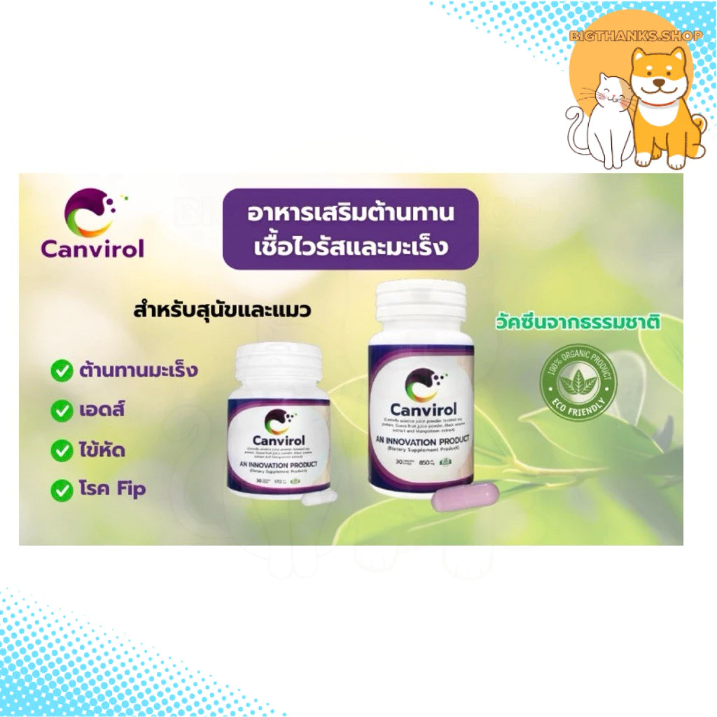 Canviral แคนไวรอล ผลิตภัณฑ์อาหารเสริมสร้างภูมิคุ้มกันเกรดพรีเมียมสำหรับสัตว์เลี้ยง [ขนาด 170mg-850mg]