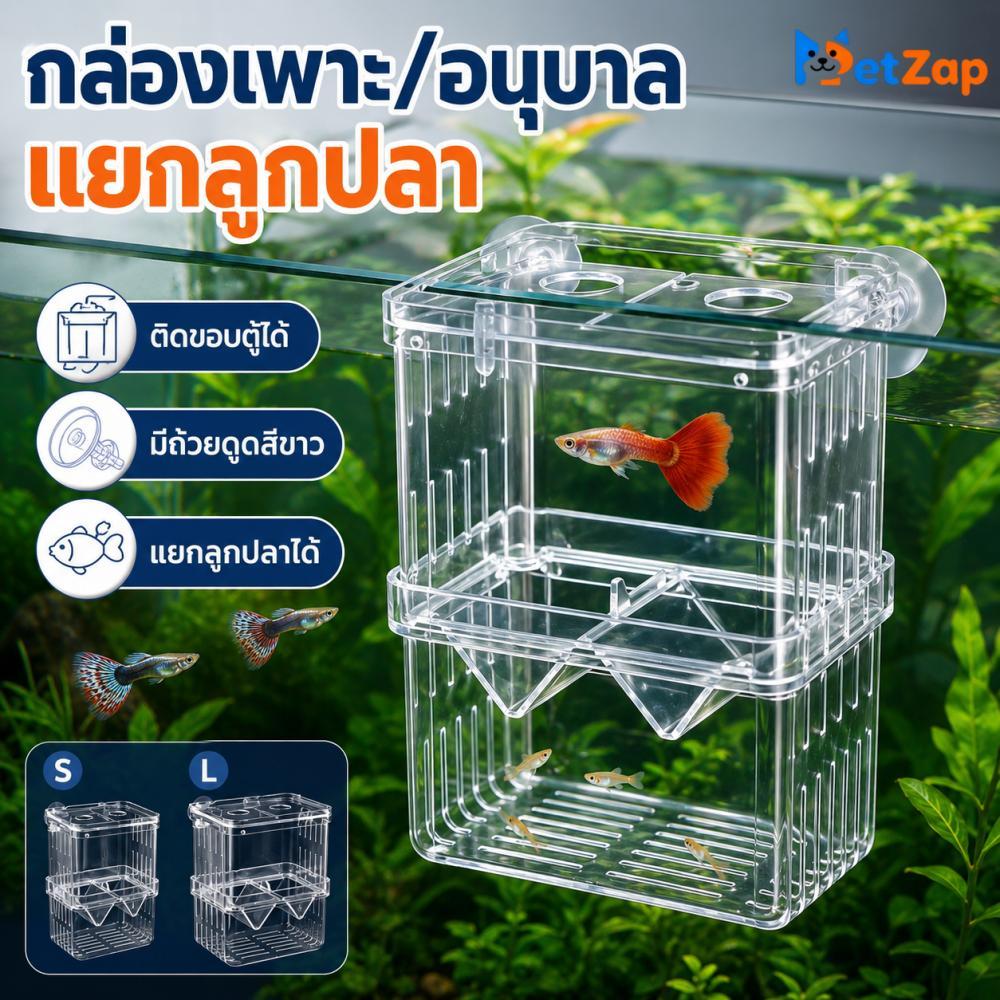 【PetZap】กล่องแยกปลา กล่องฟักไข่ปลา กล่องกักโรค แยกปลาป่วย ปลากัด ปลาหางนกยูง เติมออกซิเจน COD CW-081