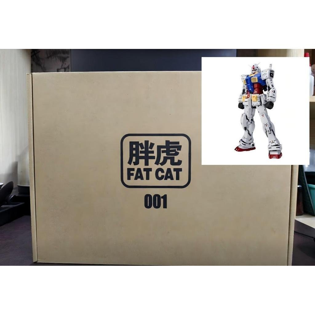 FAT CAT Yuanzu 1/100 ประกอบโมเดลดัดแปลงรูป 105