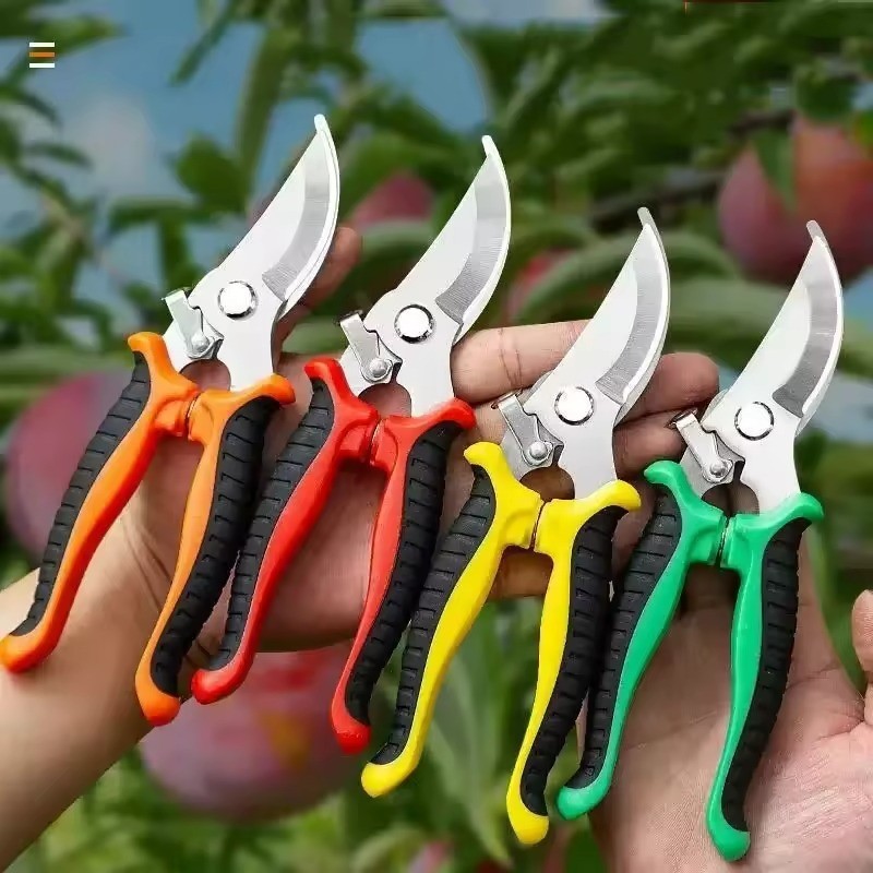 พร้อมส่ง !!! กรรไกรตัดกิ่งไม้ สแตนเลส บอนไซ เครื่องมือจัดทำสวน แข็งแรง Pruning shears (จากไทย)