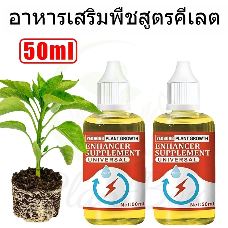 อาหารเสริมพืชสูตรคีเลต เร่งการเติบโต – พืชเขียวเด่น สีสันสดใส