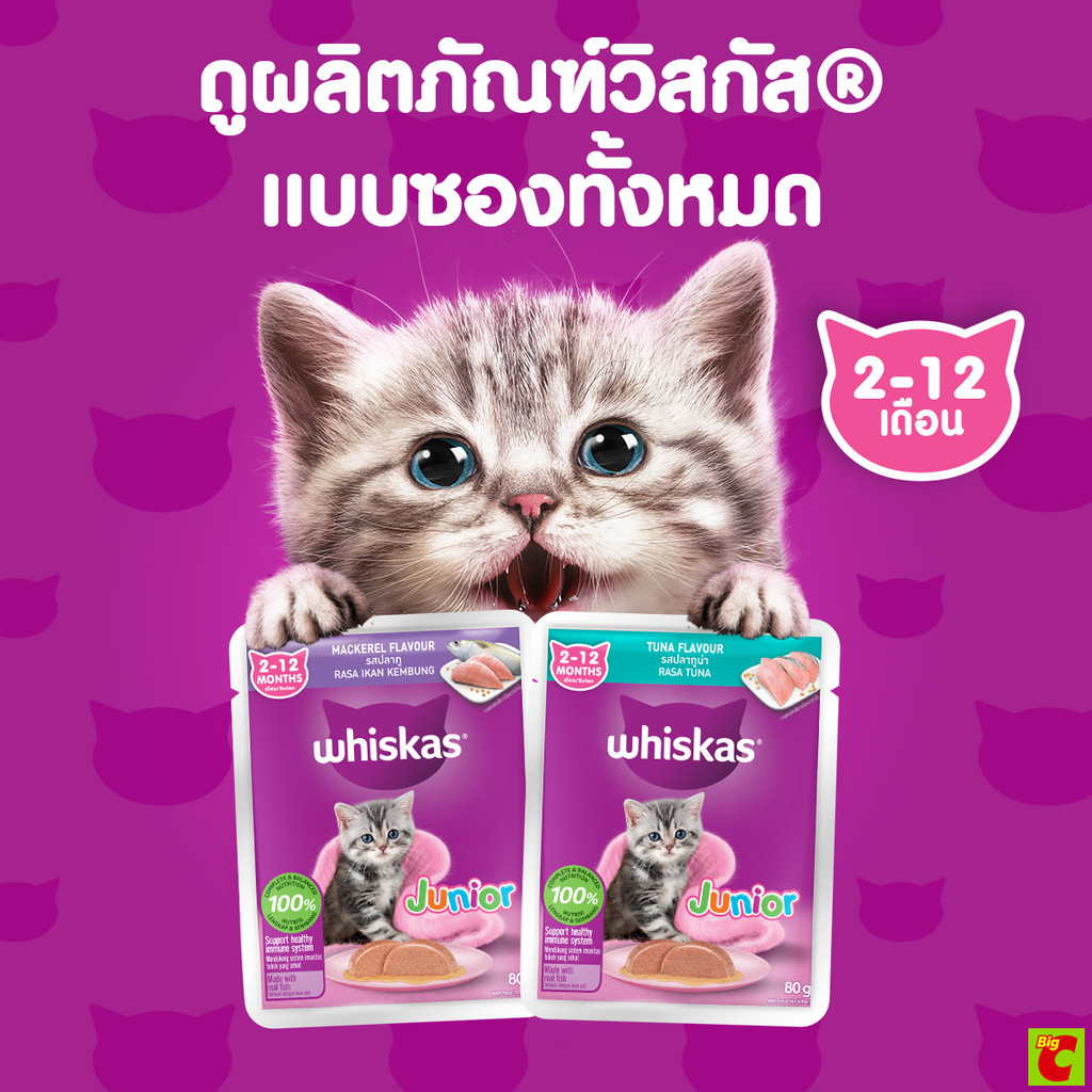 Whiskas Junior طعام قطط صغيرة رطب بالماكريل 80 غ — صورة 8