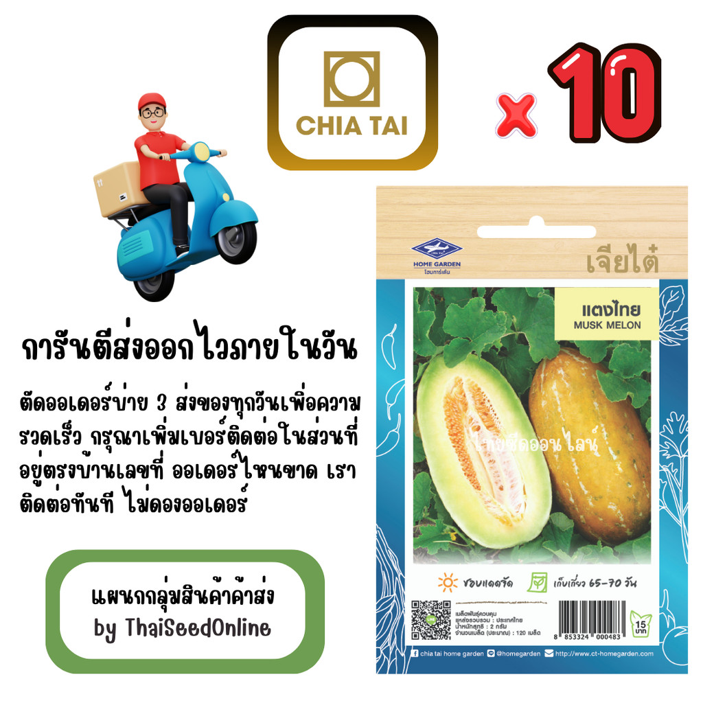 CTOP x 10 เมล็ดผักซองเจียไต๋ แตงไทย สินค้ายกแพ็ค