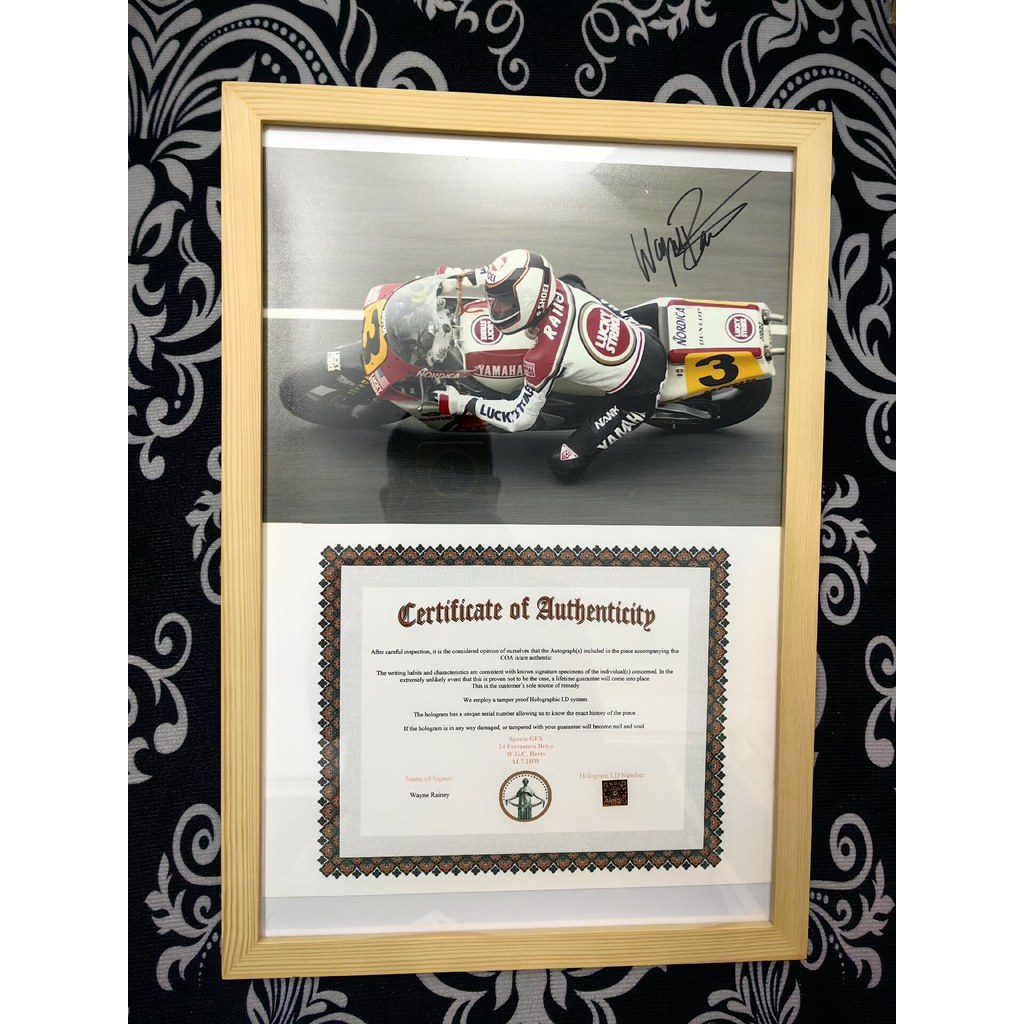 MotoGP MotoGP MotoGP MotoGP MotoGP MotoGP MotoGP MotoGP MotoGP MotoGP MotoGP 1990-1992 Third World C