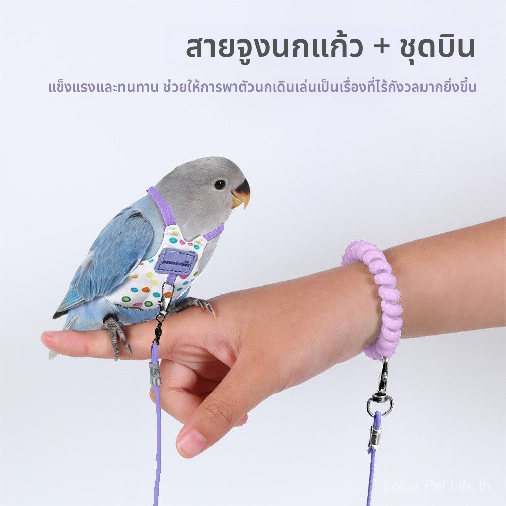เสื้อผ้าสำหรับนกนกแก้วที่เบามาก เหมาะสำหรับพาไปเดินเล่น นอกจากนี้ยังมีสายสะพายสำหรับพกพาเมื่อออกไปข้างนอก, ผ้าหนังเสือสไตล์เซียนเฟิง, ด้ายสำหรับปล่อยนก และอุปกรณ์ช่วยให้นกไม่หลงหาย