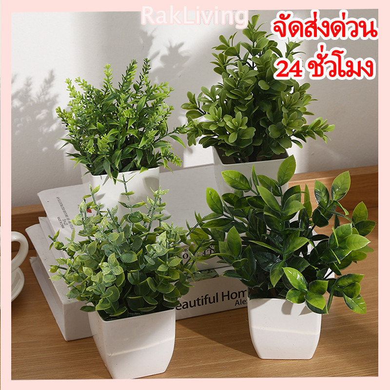 พืชสีเขียวประดิษฐ์สำหรับตกแต่งบ้านที่สร้างสรรค์