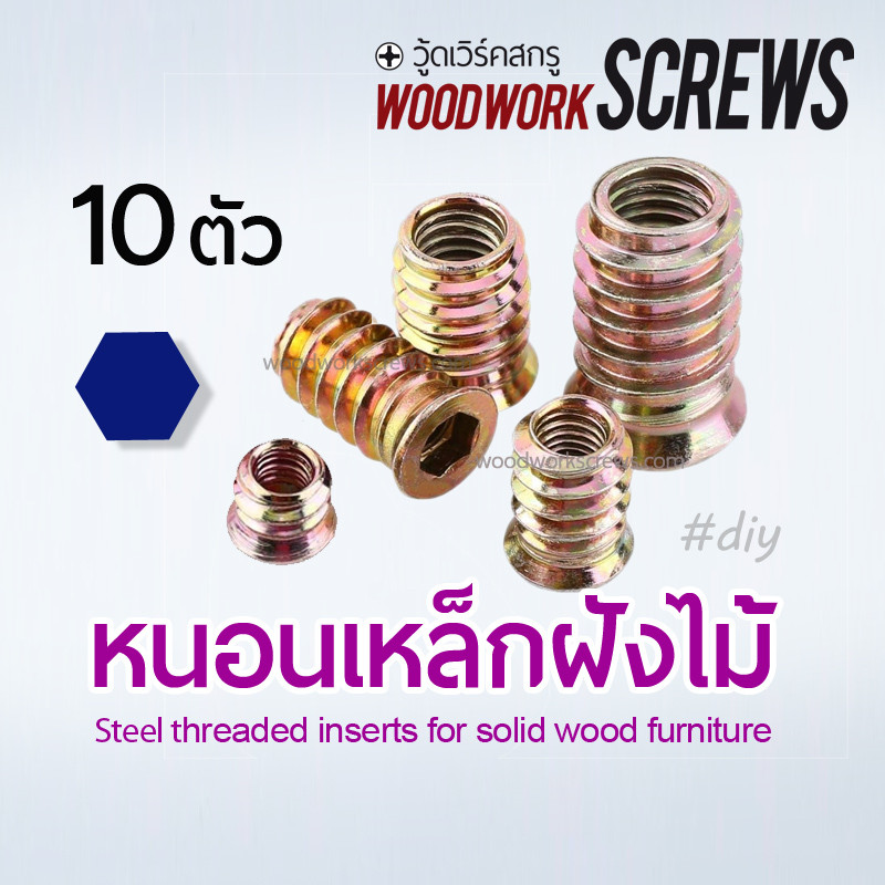 ตัวหนอนเหล็ก สำหรับไม้เนื้อแข็ง งานหนัก 10ตัว พุกเกลียวฝังไม้ เกลียวมิล น๊อคดาวน์ ประกอบโต๊ะตู้เตียงหรือ งานดีไอวาย