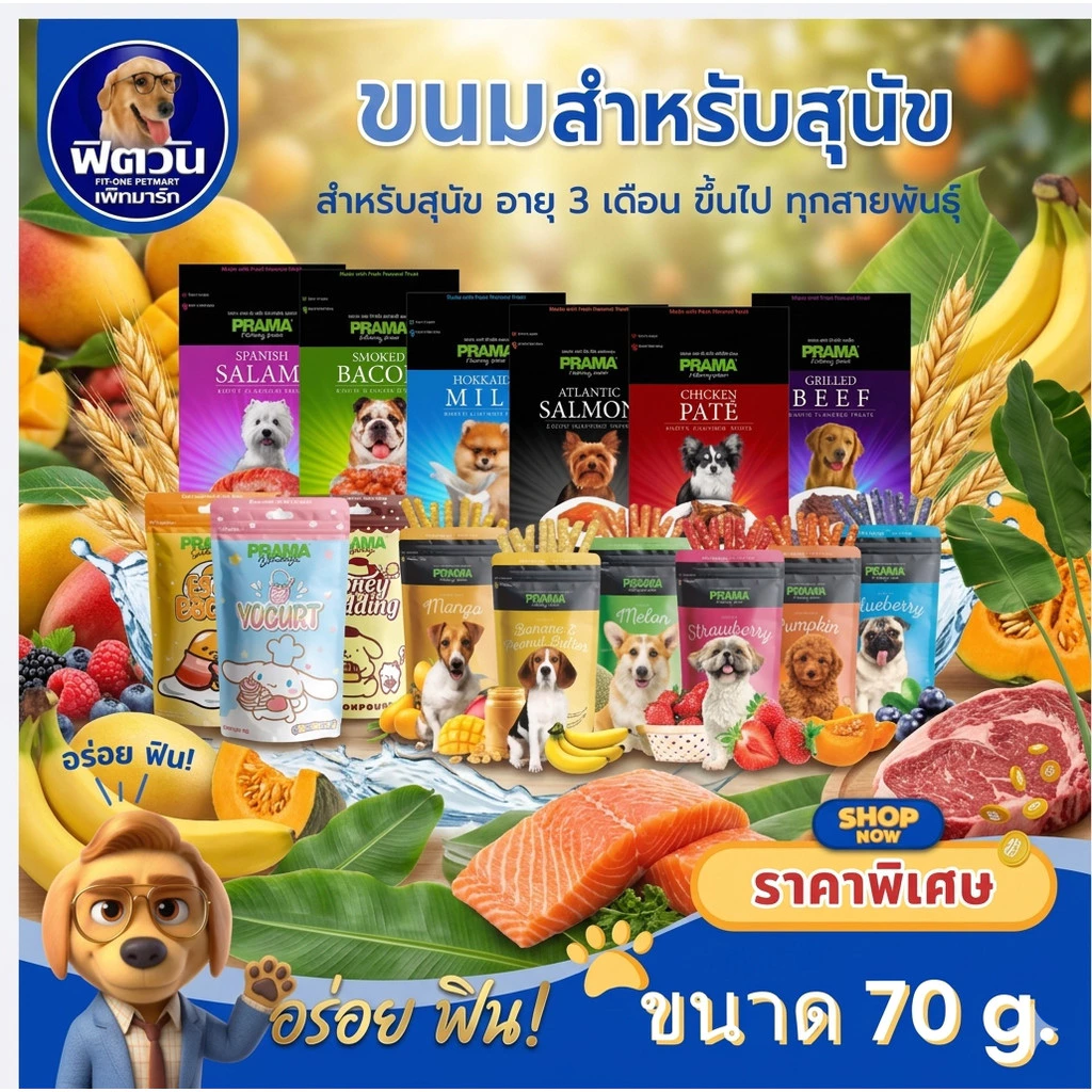 Prama พราม่า ขนมสุนัข Dog Snack ผลิตจากเนื้อไก่แท้ 70 กรัม{ขนม}