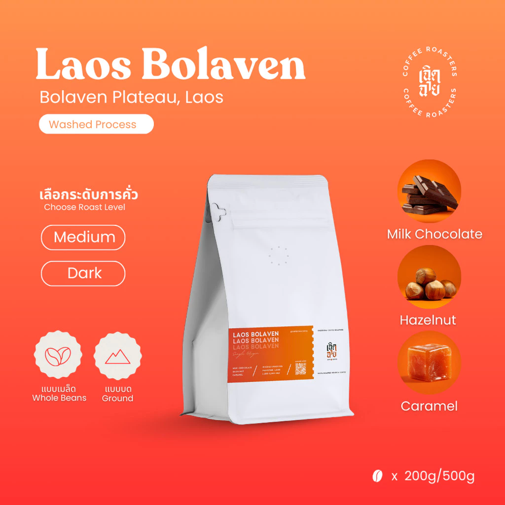 เมล็ดกาแฟ Laos Bolaven Washed process เมล็ดกาแฟคั่วอาราบิก้า Cherdchai Coffee Roasters