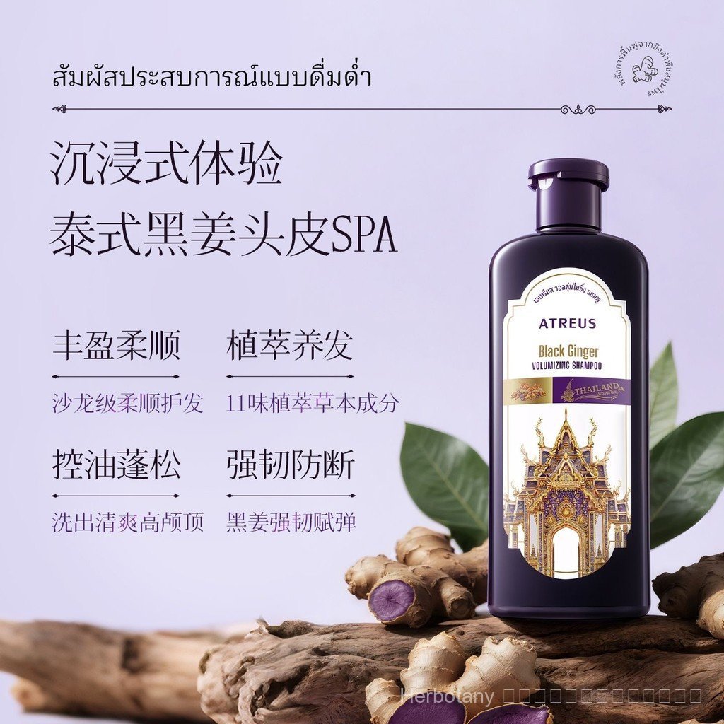 T Thailand ATREUS ATREUS Black Ginger Volumizing Shampoo | ประเทศไทย ATREUS Black Ginger แชมพูควบคุม