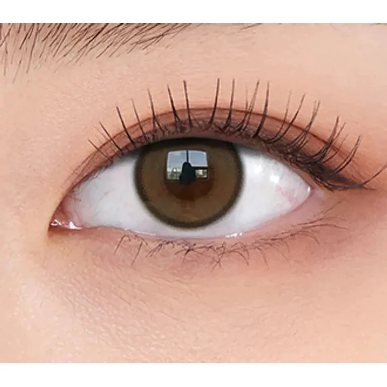 OLENS REALRING Brown คอนแทคเลนส์ 1Day 20P