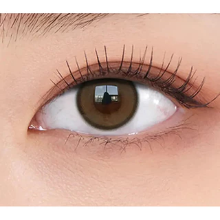 OLENS REALRING Brown คอนแทคเลนส์ 1Day 20P